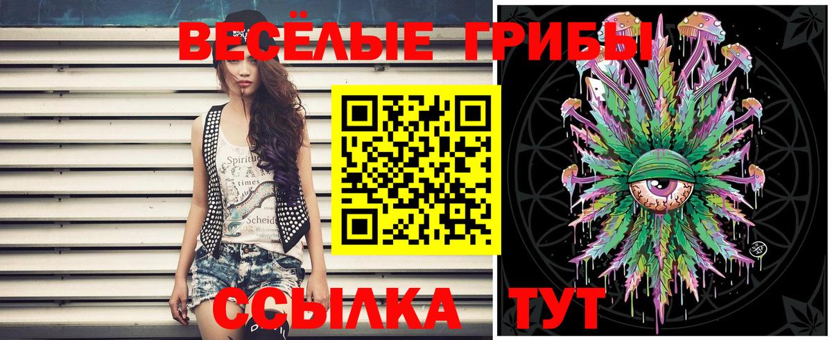 Галлюциногенные грибы GOLDEN TEACHER  Вход с VPN  Благовещенск 